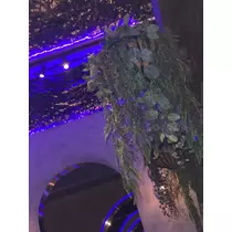 ユウナ
