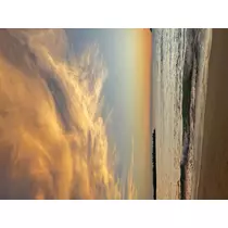 リサ