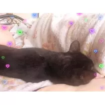 あや