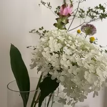 七海 結愛