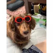美月