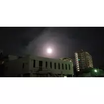 美穂