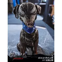 北の関まほの海