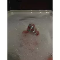 まほ