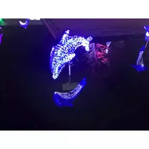 姫花