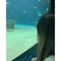 はな