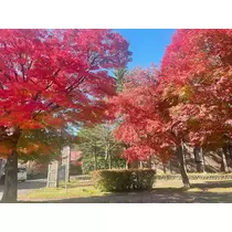 さな