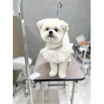朝陽 凪