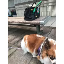 あいら