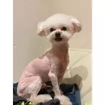 夏樹 あや