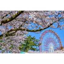 神崎　唯