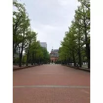 白咲 澪