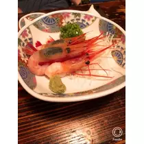 宝條 夏恋