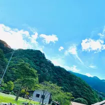 桜嬢