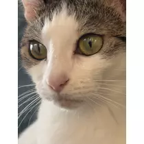 ゆう