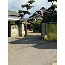なこ