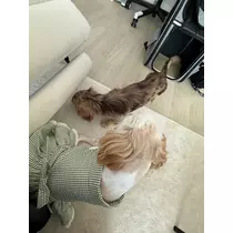 美波 あいか