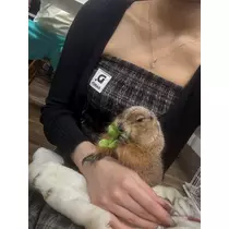 ナナ