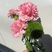 りょう