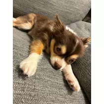 さな