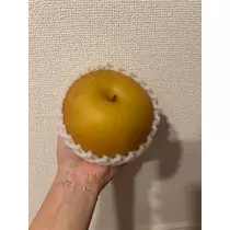 美月