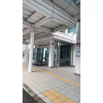 椿