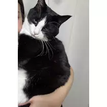 あやね