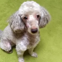 荒木 ナツミ