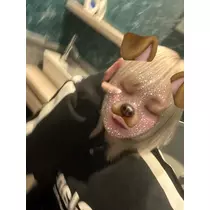 みさき