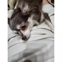 りさ