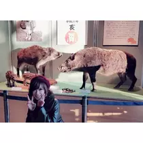 りか