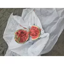 あおい