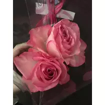 白石 愛莉