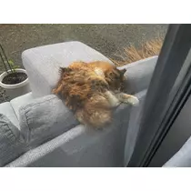ゆうか