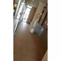 桃瀬 百華