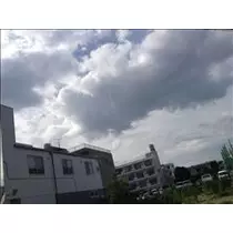 コウ