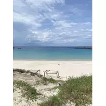 美月