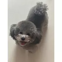 日向 茉莉