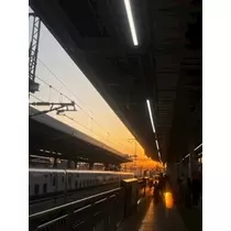 みれい