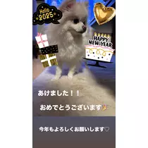 水沢 えりか