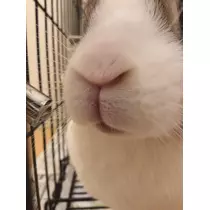 あきな