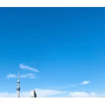 まりな