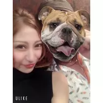 ゆかり