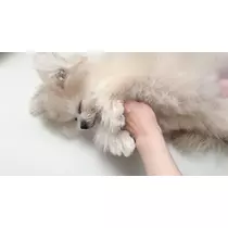 朝陽 凪