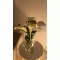 七海 結愛
