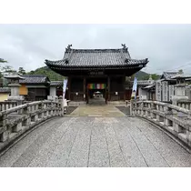 香川 ゆい
