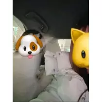 空条 しいな