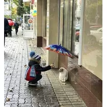さくら