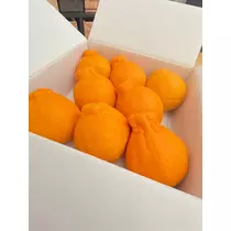 さくら