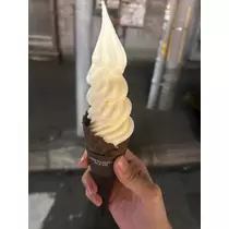 空条 しいな